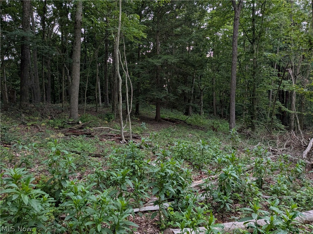 35401 Moore Road Logan OH 43138