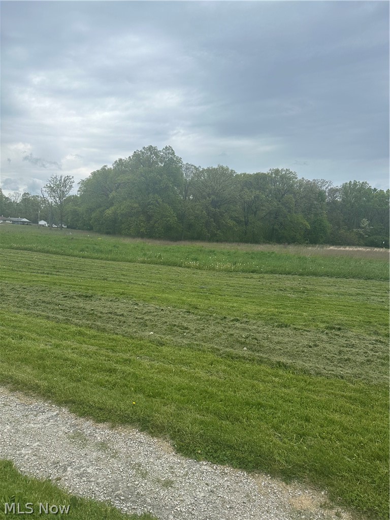 Maple Avenue Austintown OH 44515