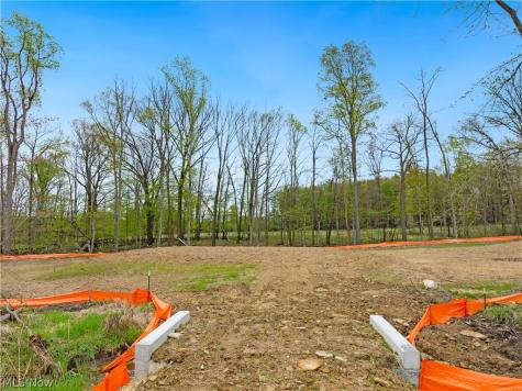 9528 River Birch Run Brecksville OH 44141