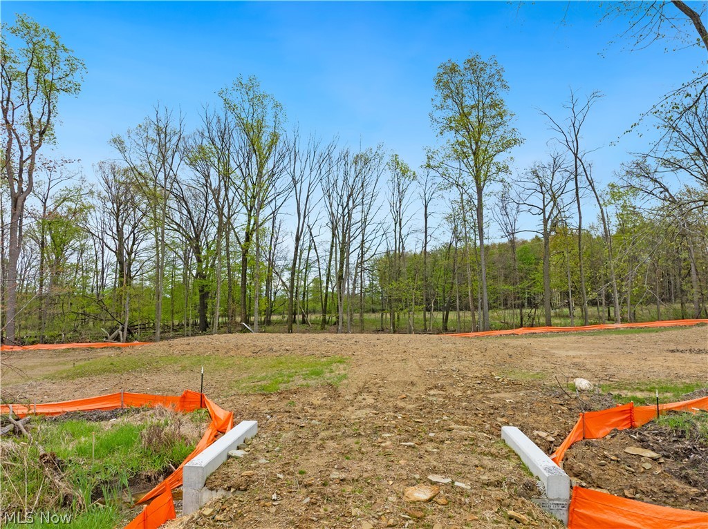 9528 River Birch Run Brecksville OH 44141