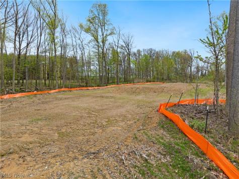 9528 River Birch Run Brecksville OH 44141