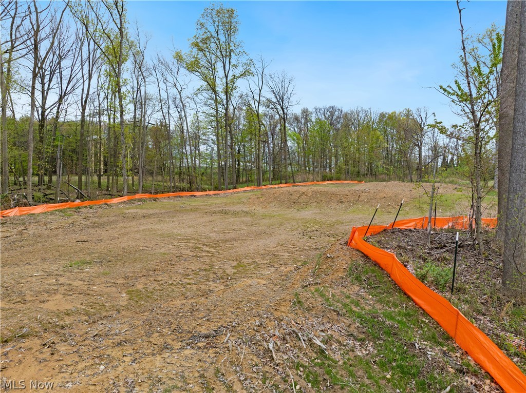 9528 River Birch Run Brecksville OH 44141