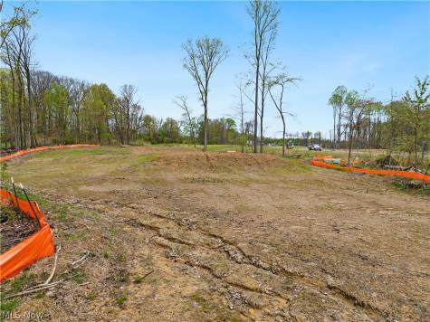 9528 River Birch Run Brecksville OH 44141