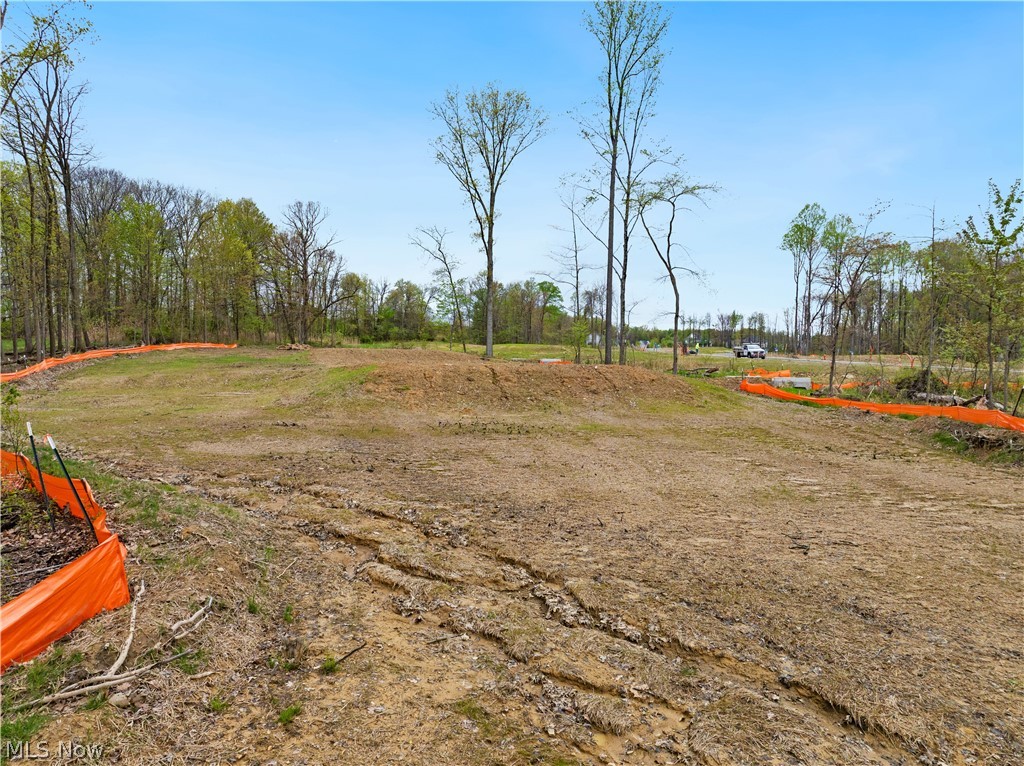 9528 River Birch Run Brecksville OH 44141