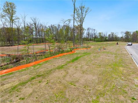 9528 River Birch Run Brecksville OH 44141