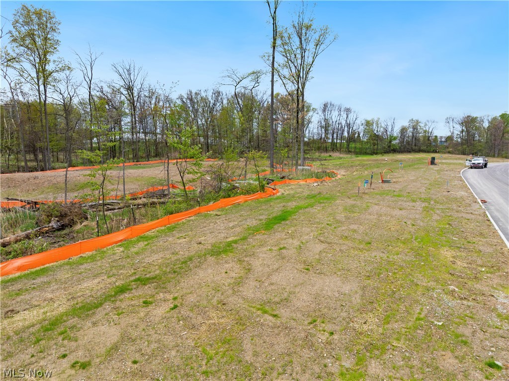 9528 River Birch Run Brecksville OH 44141