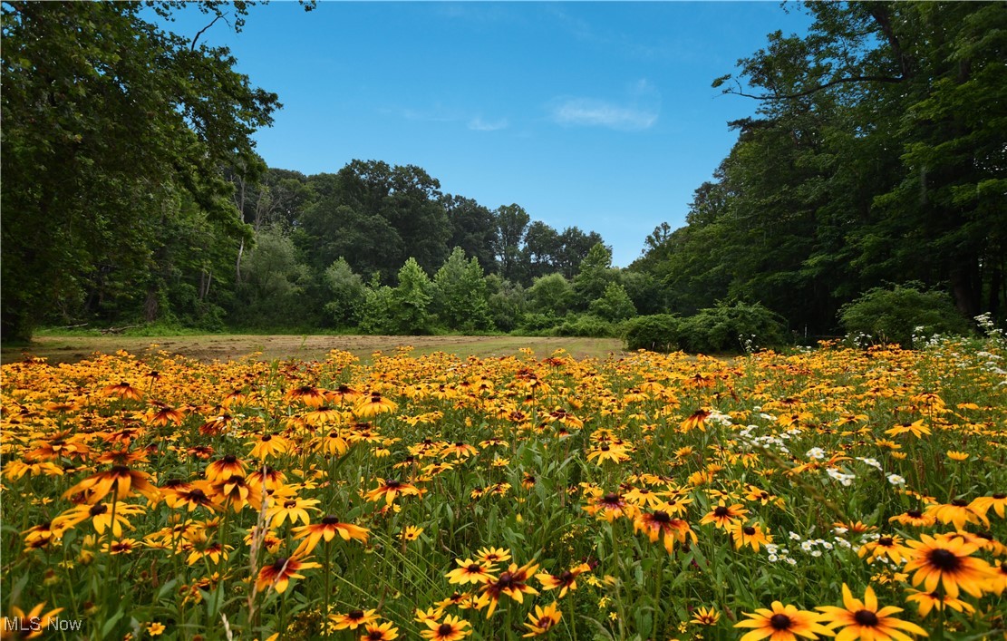 Gates Mills OH, 781 Chagrin River Road