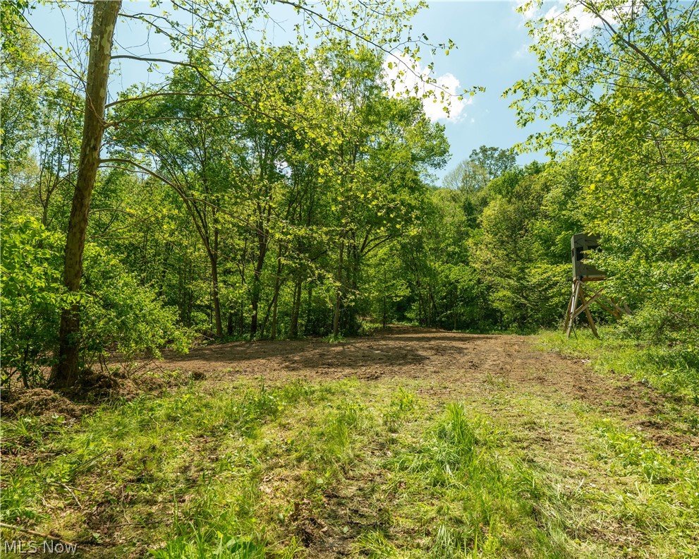 0 Prider Road Kimbolton OH 43749