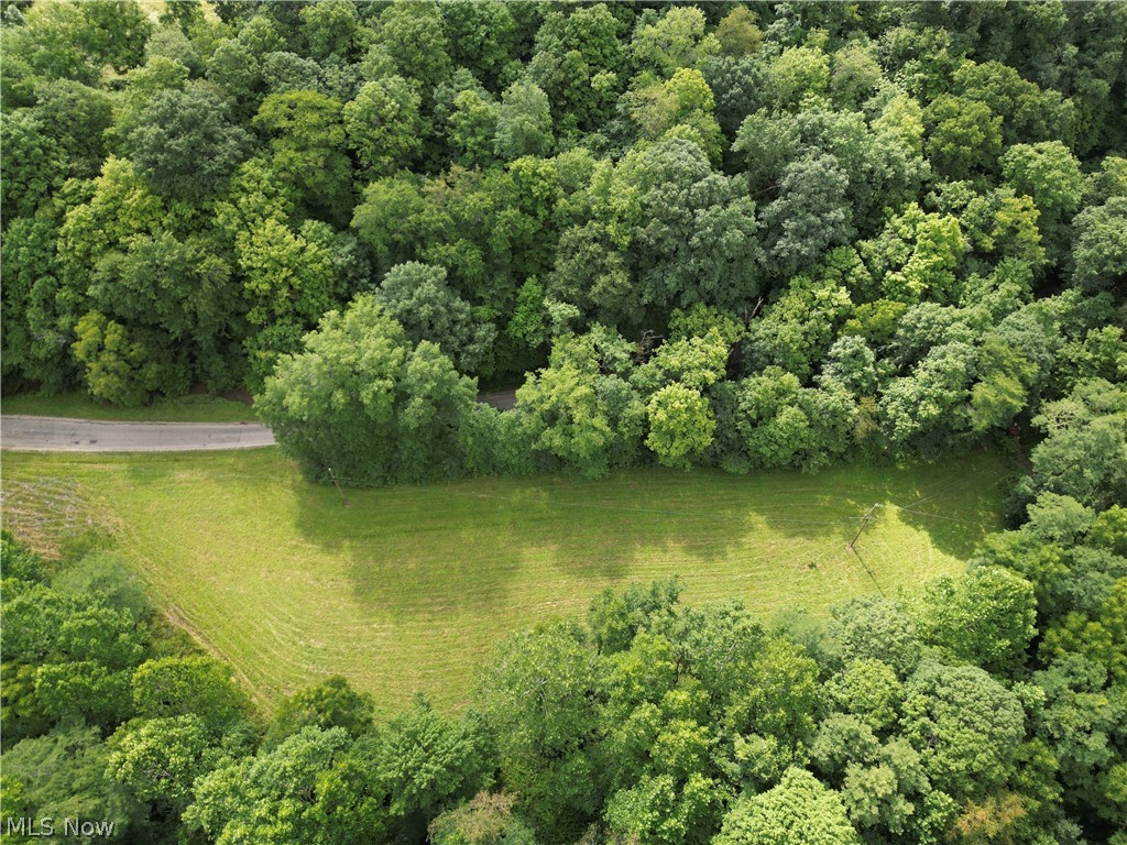 Homestead Drive New Concord OH 43762