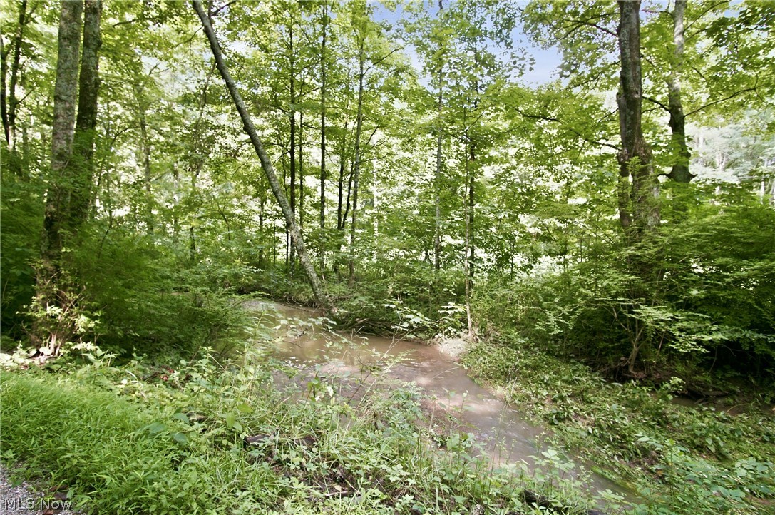 Homestead Drive New Concord OH 43762
