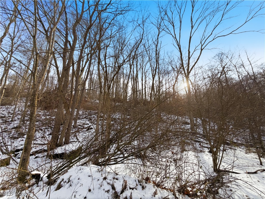 0 County Road 46 Lower Salem OH 45745