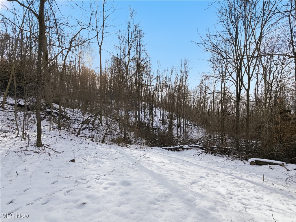 0 County Road 46 Lower Salem OH 45745