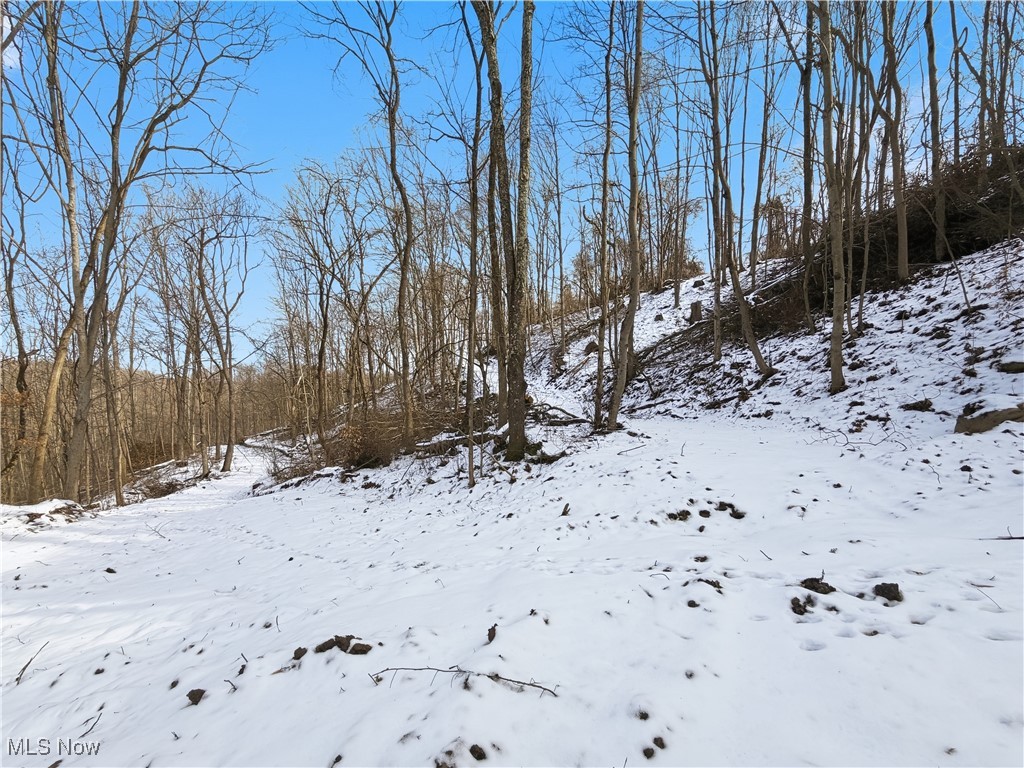 0 County Road 46 Lower Salem OH 45745