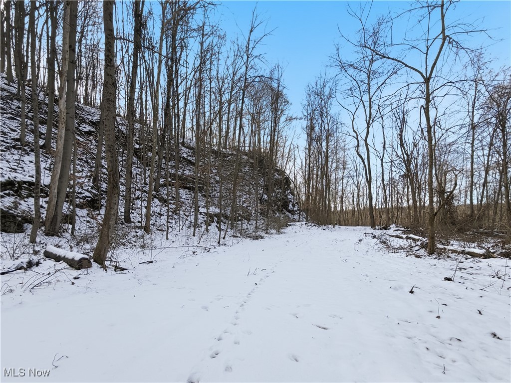 0 County Road 46 Lower Salem OH 45745