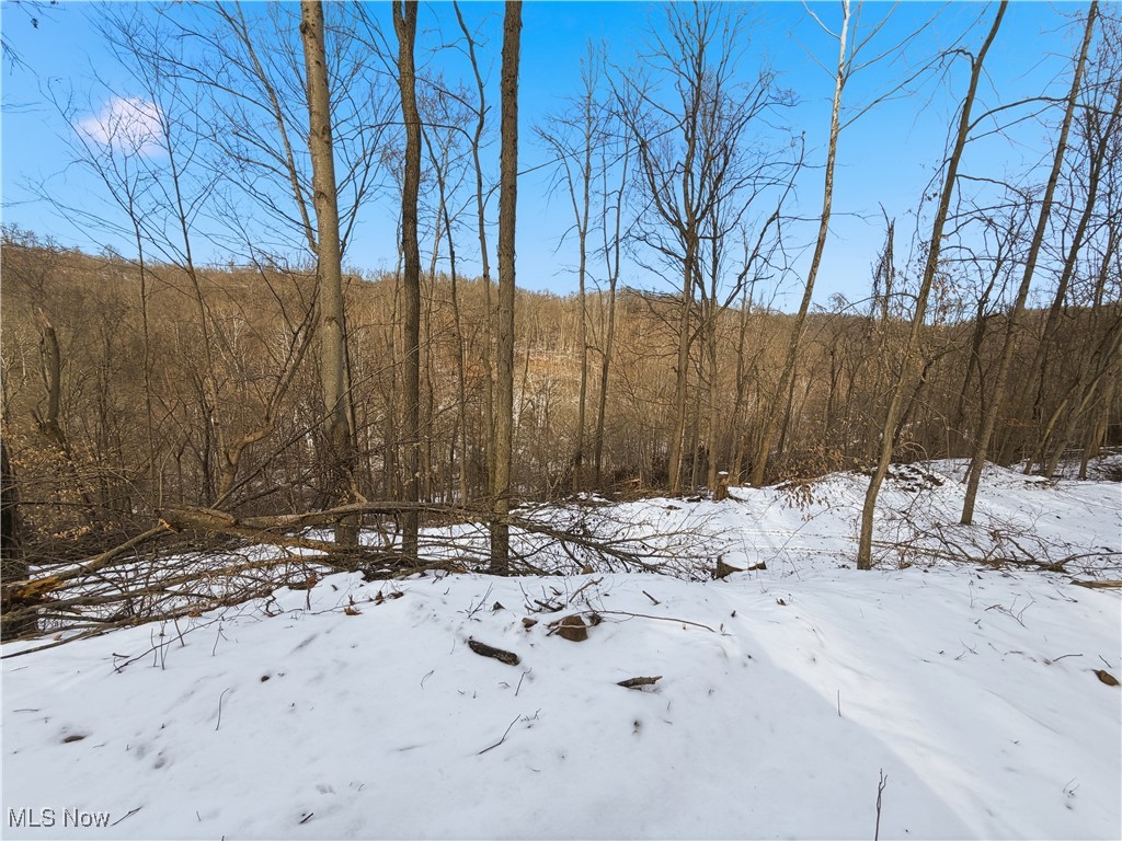 0 County Road 46 Lower Salem OH 45745