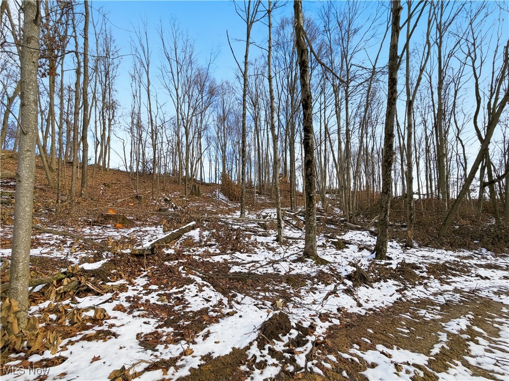 0 County Road 46 Lower Salem OH 45745