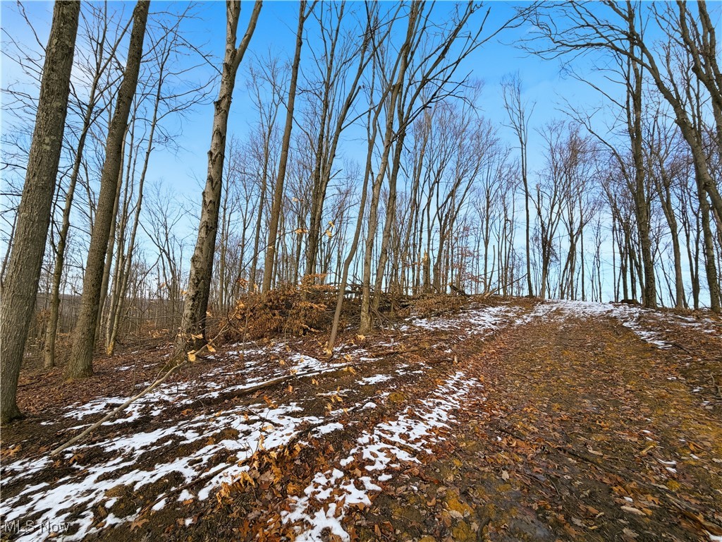 0 County Road 46 Lower Salem OH 45745