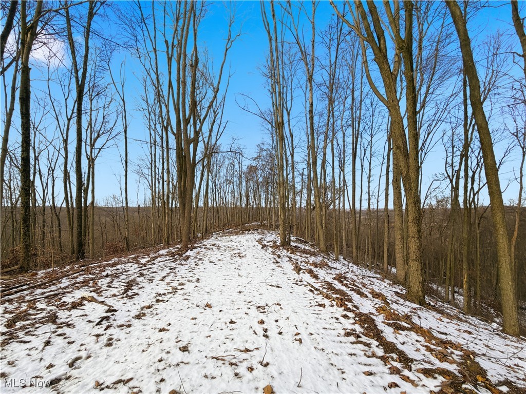 0 County Road 46 Lower Salem OH 45745