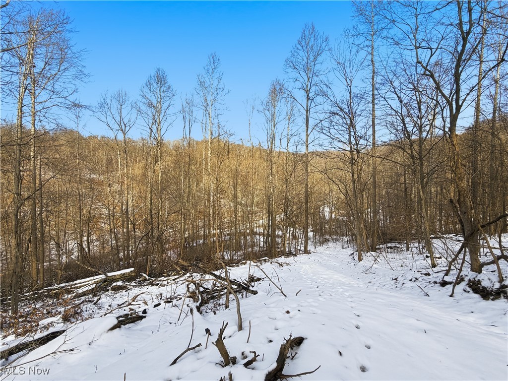 0 County Road 46 Lower Salem OH 45745