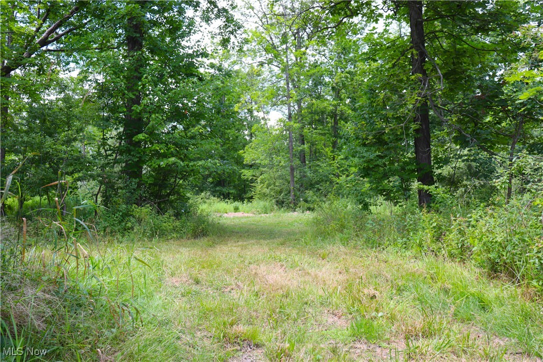 S/l 26 Overture Drive Newbury OH 44065