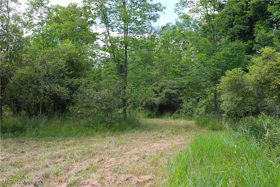 S/l 26 Overture Drive Newbury OH 44065