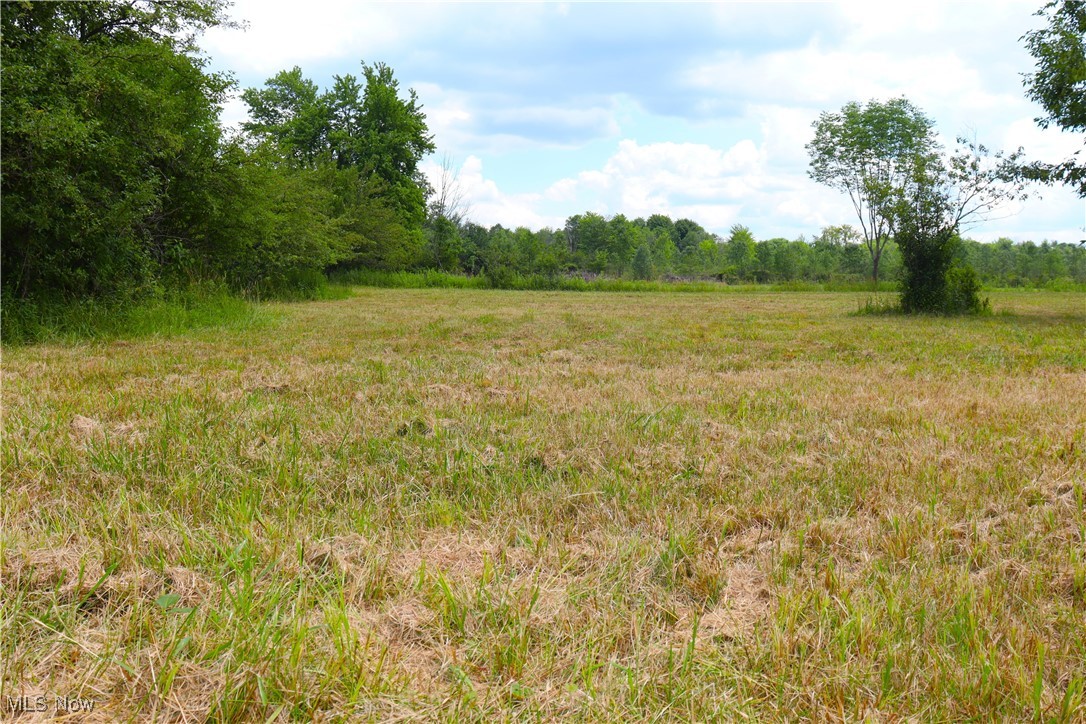 S/l 26 Overture Drive Newbury OH 44065