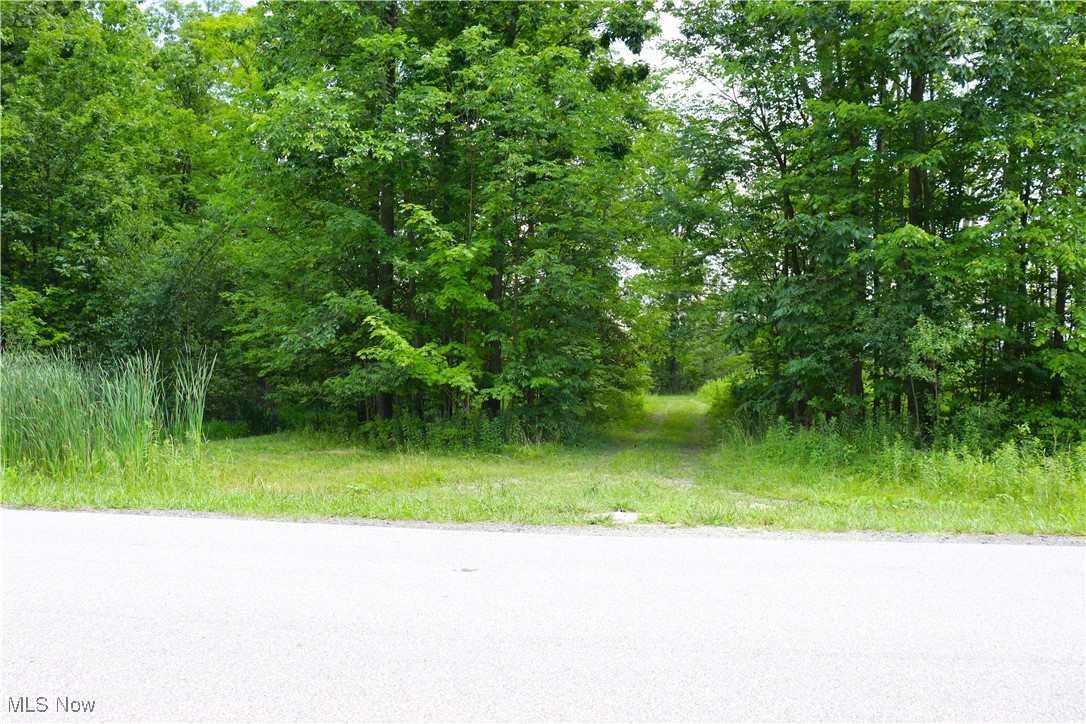 S/l 26 Overture Drive Newbury OH 44065