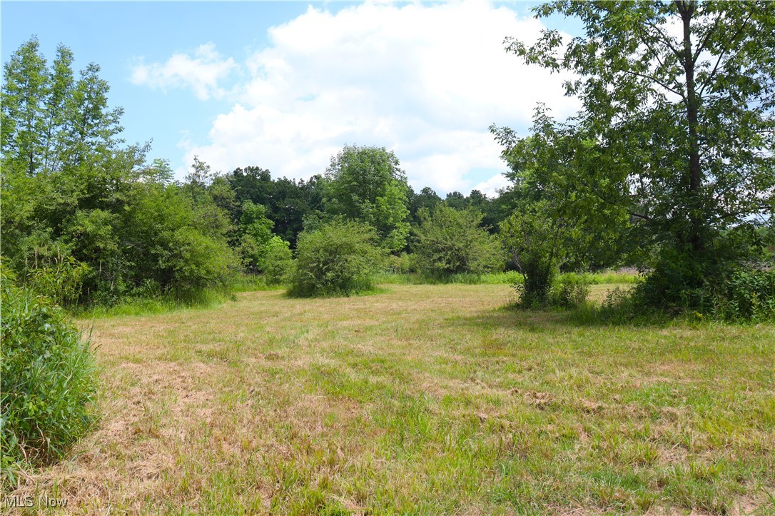 S/l 26 Overture Drive Newbury OH 44065