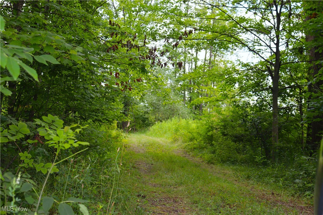 S/l 26 Overture Drive Newbury OH 44065