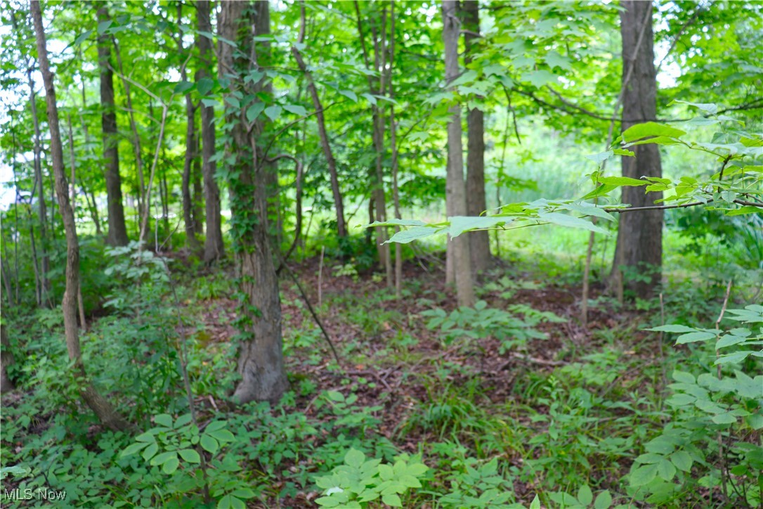 S/l 26 Overture Drive Newbury OH 44065