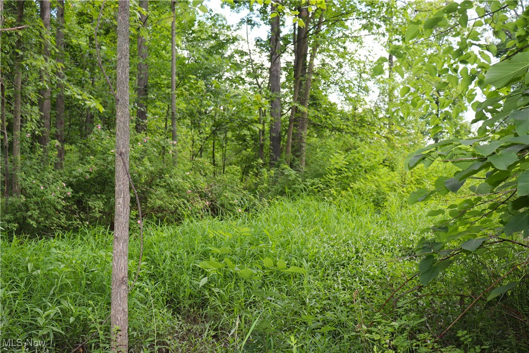 S/l 26 Overture Drive Newbury OH 44065