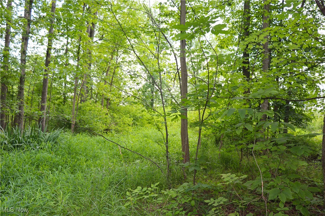 S/l 26 Overture Drive Newbury OH 44065