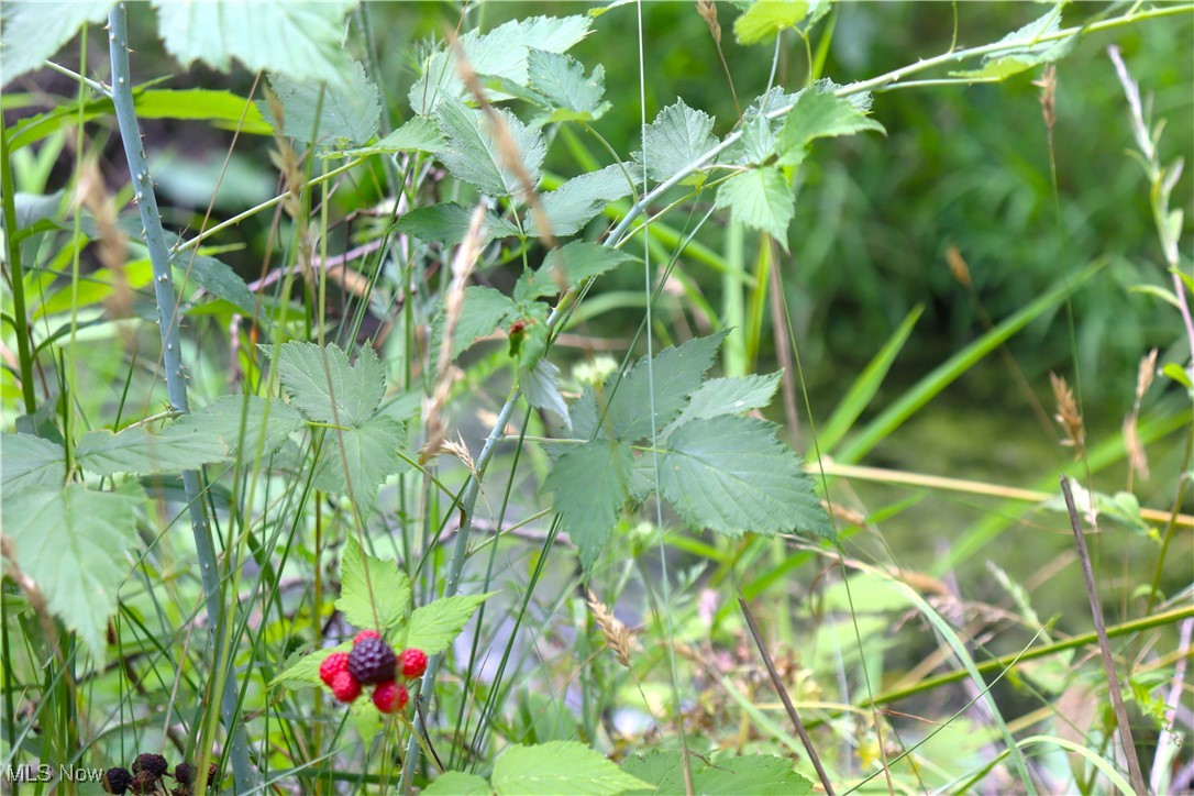 S/l 26 Overture Drive Newbury OH 44065