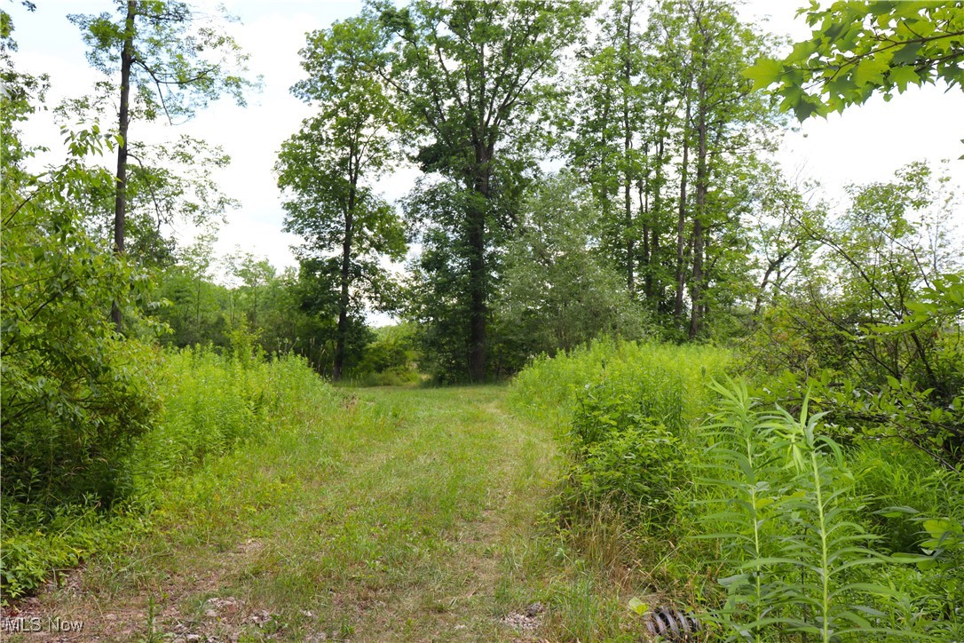 S/l 26 Overture Drive Newbury OH 44065