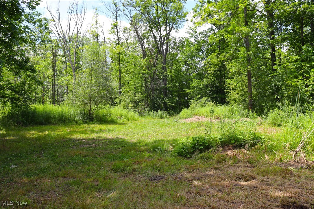 S/l 26 Overture Drive Newbury OH 44065