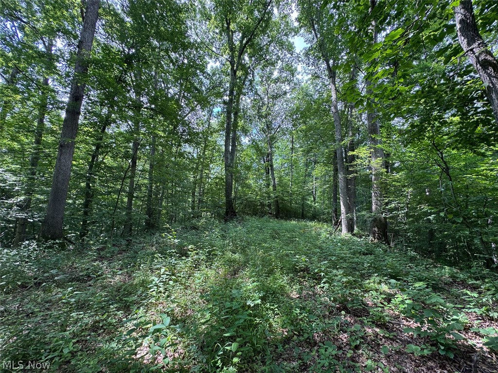 Township Road 289 Corning OH 43730