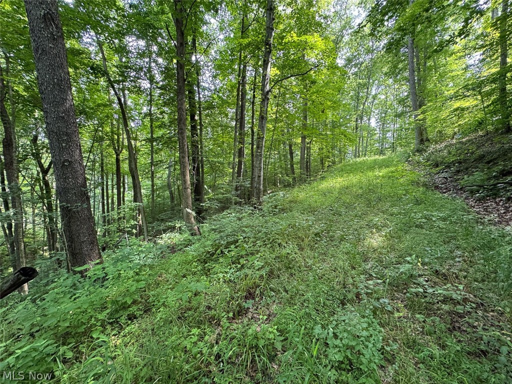 Township Road 289 Corning OH 43730