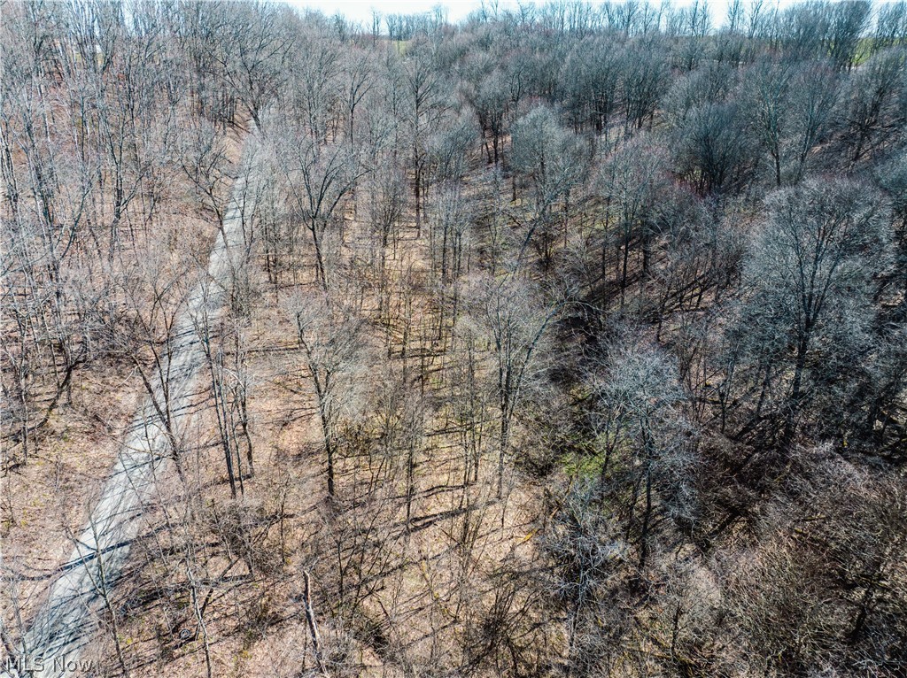 Eckley Road Jewett OH 43986