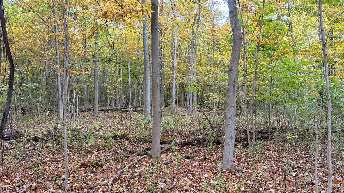 Munson Hill Road Ashtabula OH 44004