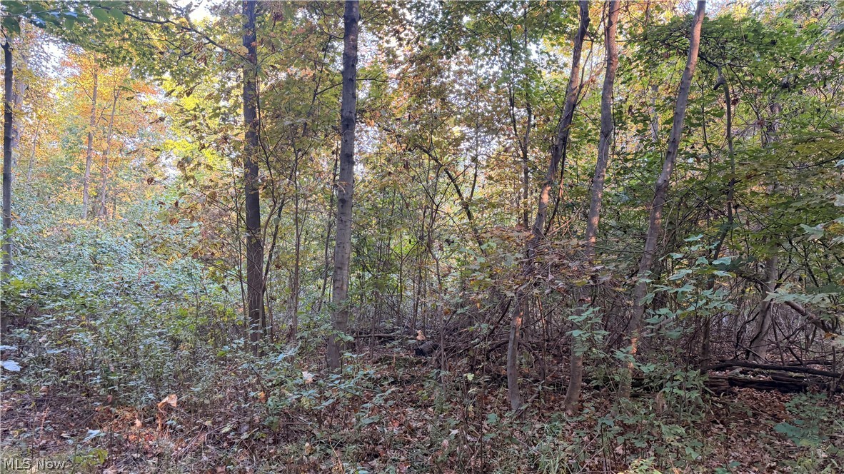Munson Hill Road Ashtabula OH 44004
