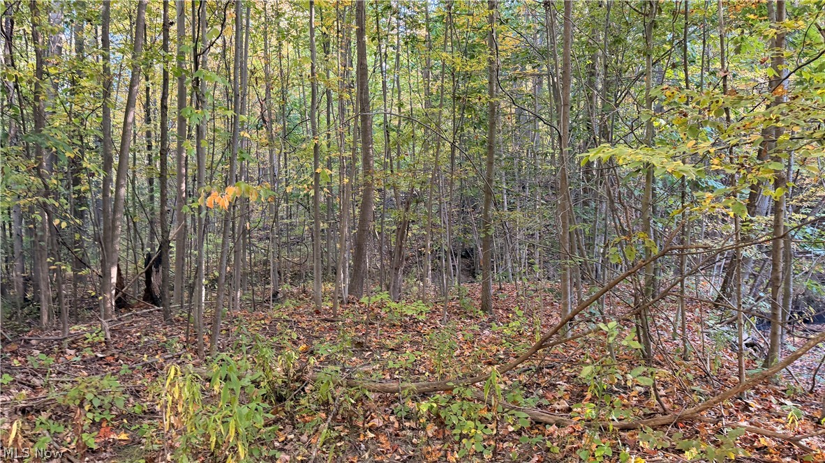 Munson Hill Road Ashtabula OH 44004