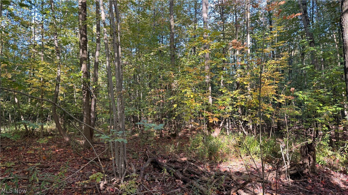 Munson Hill Road Ashtabula OH 44004