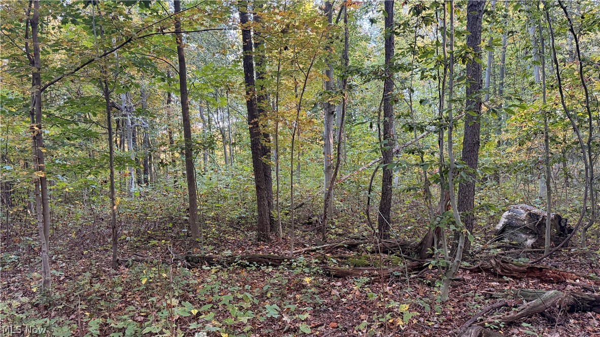 Munson Hill Road Ashtabula OH 44004