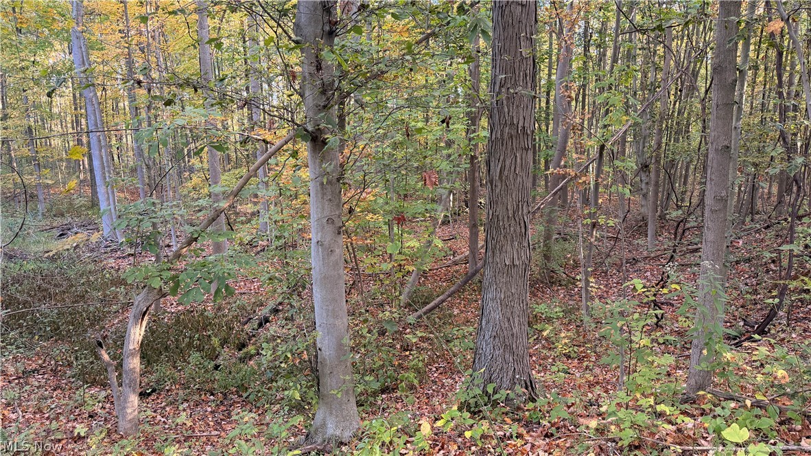 Munson Hill Road Ashtabula OH 44004