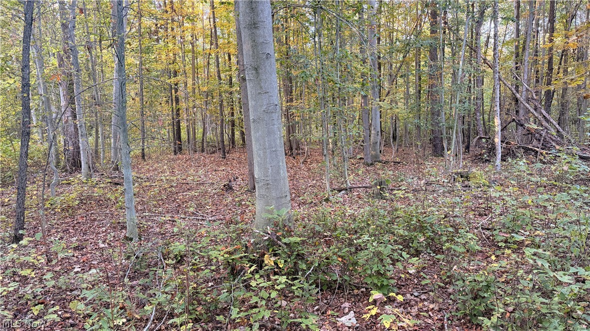 Munson Hill Road Ashtabula OH 44004
