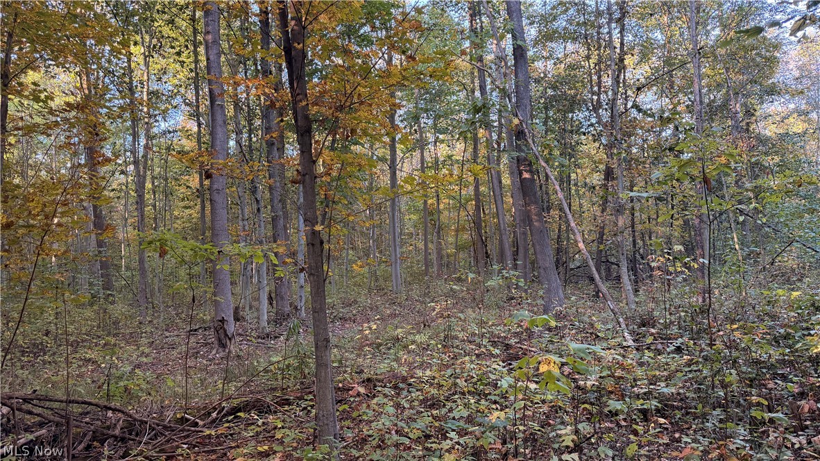 Munson Hill Road Ashtabula OH 44004