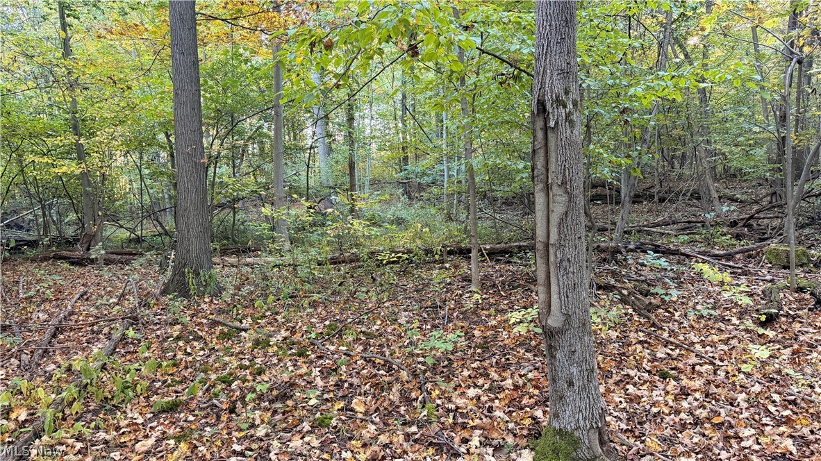 Munson Hill Road Ashtabula OH 44004