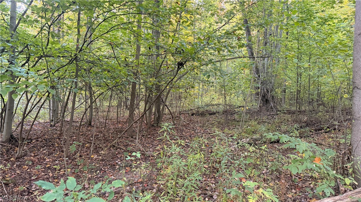 Munson Hill Road Ashtabula OH 44004