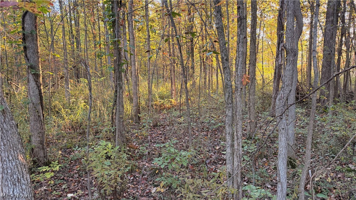 Munson Hill Road Ashtabula OH 44004