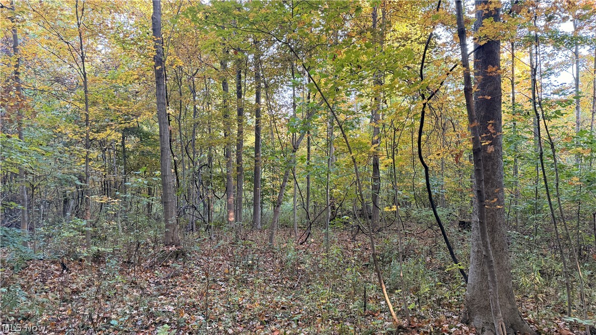 Munson Hill Road Ashtabula OH 44004